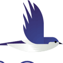 Martin & Co Painting logo
