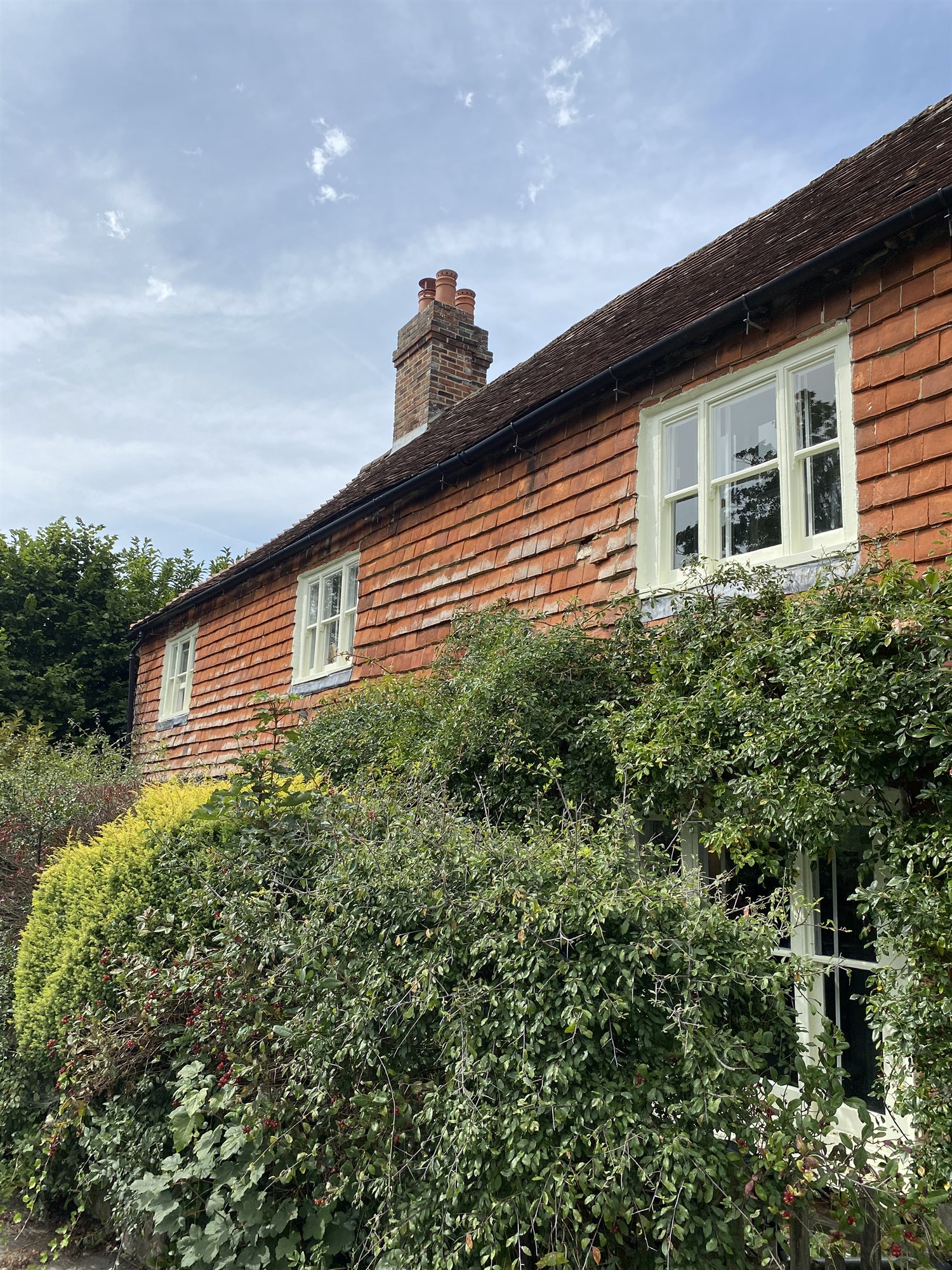 Restored period cottage windows surrounded by greenery